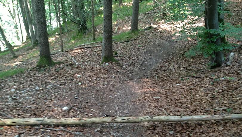 Gefährliche Falle für Mountainbiker auf einem Isartrail am vergangenen Wochenende. Gefährliche Falle für Mountainbiker auf einem Isartrail am vergangenen Wochenende.