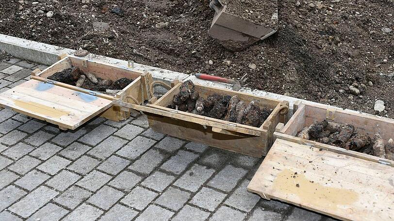 Bilder der Räumung am Zwergackerweg in Freimann.