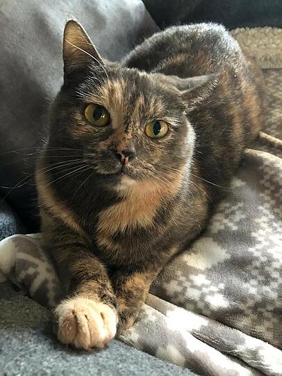 Mimi