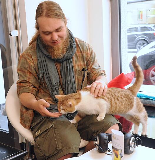 Die Katzen genießen die Aufmerksamkeit der Gäste. Im Katzen-Café sind sie die Stars.