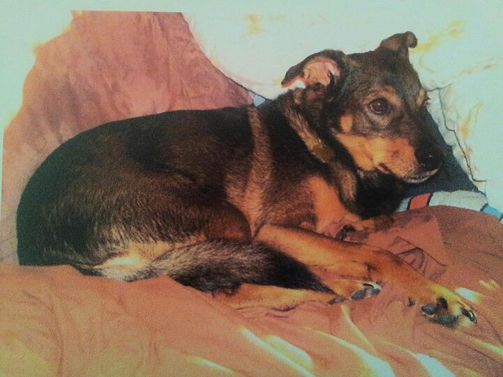 Der 11 Jahre alte Moritz war übers Wochenende verschwunden.