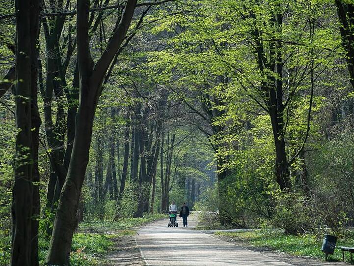 Zwei Menschen mit Kinderwagen gehen spazieren. Foto: Christophe Gateau/dpa/Archivbild