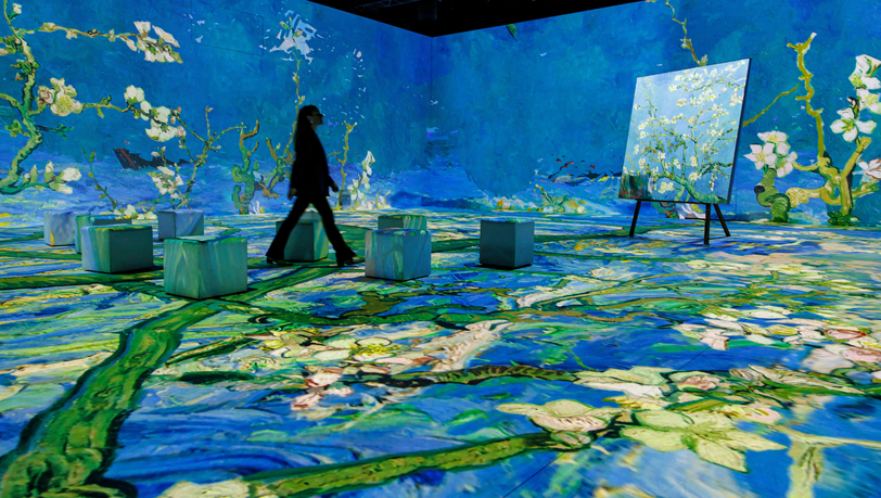 Unter Van Goghs Sternennacht – wo Kunst zu leuchten beginnt. Unter Van Goghs Sternennacht – wo Kunst zu leuchten beginnt.