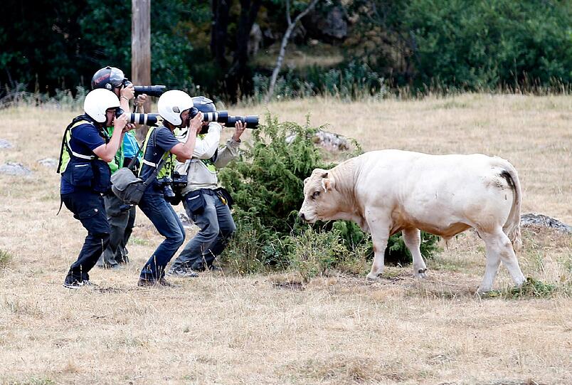 Abgelenkte Fotojournalisten bei der Tour de France.