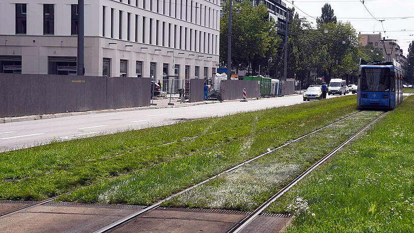 Vermutlich aus gesundheitlichen Gründen verlor ein BMW-Fahrer die Kontrolle über seinen X3 und krachte in eine Baustelle. Die Bilder.