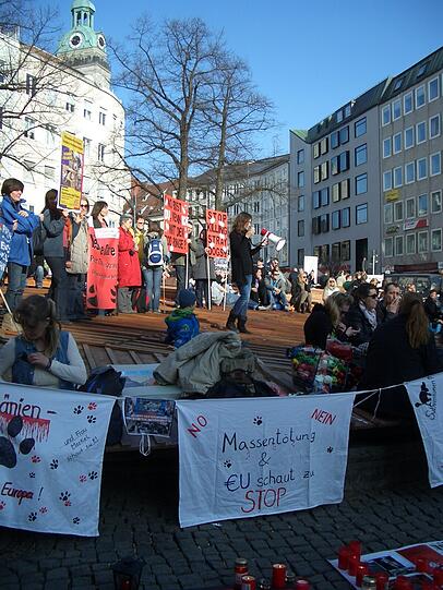 Um die 150 Tierfreunde waren am Rindermarkt, um mit Plakaten, Flyern, Bannern und Gesprächen über die Streunerproblematik und die grausamen Tötungen der Hunde in Rumänien aufzuklären.