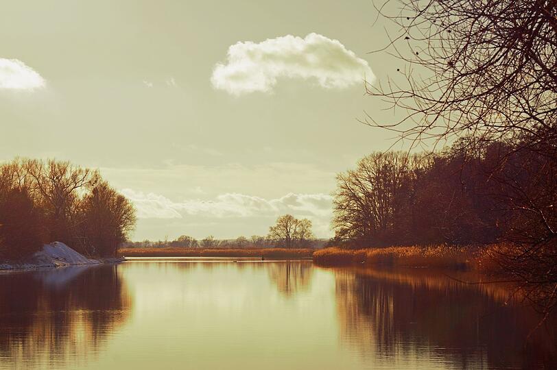 Im Nationalpark Unteres Odertal zeigt sich der Herbst ebenfalls besonders ruhig und schön. Entlang des Flusstals färben sich Ahorn, Pappel und Weide in leuchtenden Herbsttönen. Die Spiegelungen in der Oder verleihen dem Naturschauspiel besonderen Eindruck. Kraniche ziehen über die weiten Auen und Gänse gen Süden. Wer hier wandert, passiert eine traumhafte Fotokulisse nach der anderen. Im Nationalpark Unteres Odertal zeigt sich der Herbst ebenfalls besonders ruhig und schön. Entlang des Flusstals färben sich Ahorn, Pappel und Weide in leuchtenden Herbsttönen. Die Spiegelungen in der Oder verleihen dem Naturschauspiel besonderen Eindruck. Kraniche ziehen über die weiten Auen und Gänse gen Süden. Wer hier wandert, passiert eine traumhafte Fotokulisse nach der anderen.