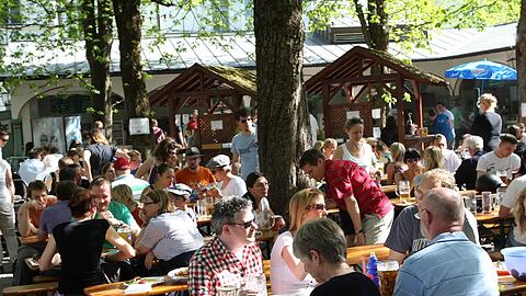 Die grüne Oase Haidhausens: der Biergarten vom Hofbräukeller.