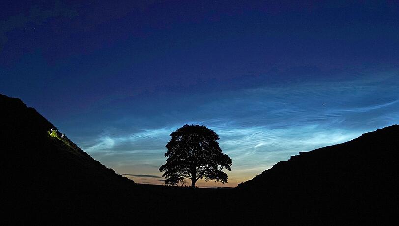 Der Sycamore Gap Tree in England war einst ein beliebtes Fotomotiv. (Archivfoto)