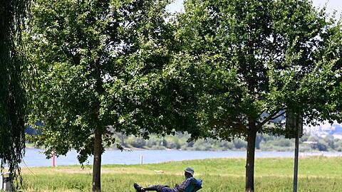 Ein Mann hat sich ein schattiges Plätzchen am Ufer des Rheins in Leverkusen gesucht. (Archivbild)