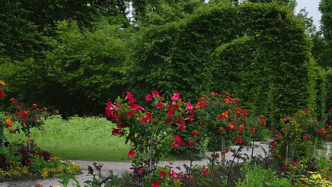 Der Rosengarten - einer der Münchner Lieblingsorte im Viertel.