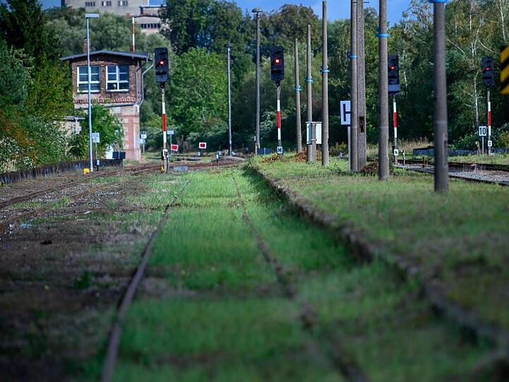 Gras wächst zwischen den Schienen auf dem Gelände des Bahnhofs von Malchin in Mecklenburg-Vorpommern.