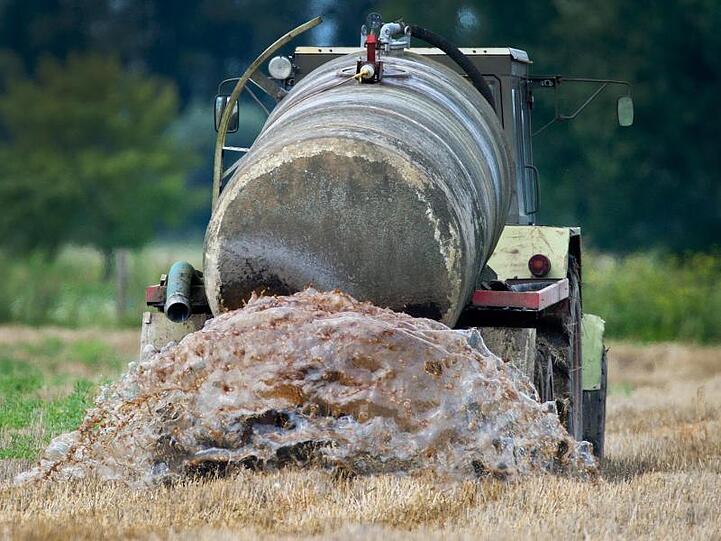 Ein Bauer bringt Gülle auf einem Feld im Oderbruch aus. Brüssel und Berlin streiten seit Jahren über den Grundwasser-Schutz.