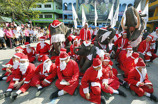 Farblich passen die Weihnachtsmänner und Elephanten schon ganz gut zusammen.