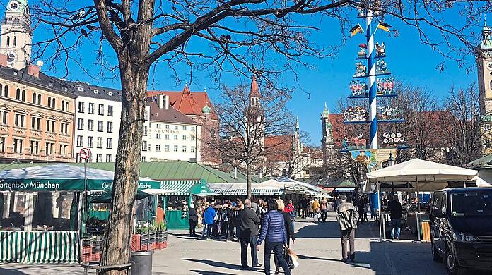 Der Münchner Viktualienmarkt. (Archivbild)