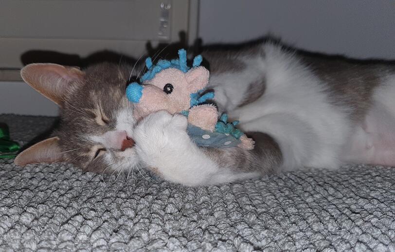 Merlin