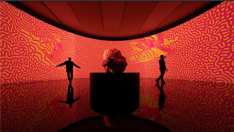 Miguel Chevaliers digitale Kunst reagiert auf ihr Publikum.