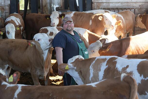 Before farmer Benjamin Kotzinger goes to the bulls, he whistles to get the animals' attention. then: Before farmer Benjamin Kotzinger goes to the bulls, he whistles to get the animals' attention. then: