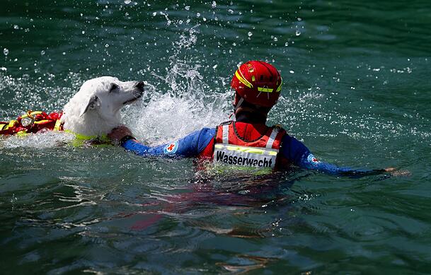 Auch Hunde helfen nach Badeunf&auml;llen bei der Rettung aus dem Wasser.