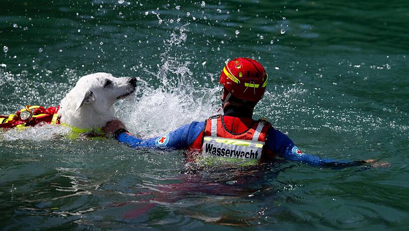 Auch Hunde helfen nach Badeunf&auml;llen bei der Rettung aus dem Wasser.