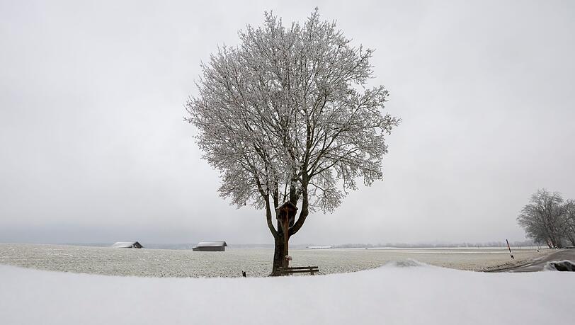 In Teilen Bayerns rieselte an Heiligabend Schnee herunter.