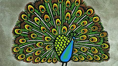 Aus Joëlle Jolivets Buch "Zoologie" (Thienemann-Esslinger Verlag, 2019) stammt dieser prächtige Pfau.