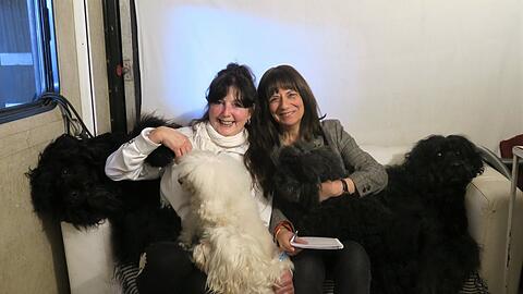 Ein Interview mit besonderem Flauschfaktor: AZ-Reporterin Annette Baronikians zu Gast bei Gina Giovannis und ihren Hunden.
