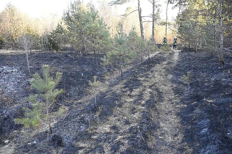 Seit 2017 hatte ein Feuerteufel im Münchner Süden hunderte Hektar Wald angezündet.