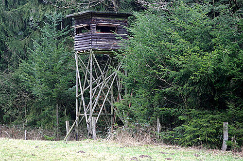 In einem Wald bei Haar machten zwei junge Münchner einen außergewöhnlichen Fund: einen Tetrapack gefüllt mit Heroin.