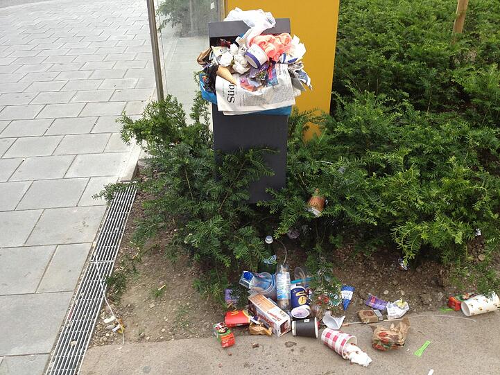 Ein seltener Anblick - oder Alltag in der Altstadt?