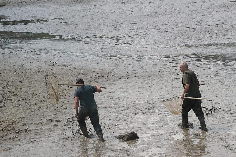 Bilder vom Badesee: Wo ist die Alligator-Schildkröte vom Oggenrieder Weiher?