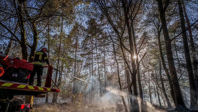 Ein Waldbrand auf hessischem Gebiet hatte auch auf Bayern übergegriffen. (Archivbild) Ein Waldbrand auf hessischem Gebiet hatte auch auf Bayern übergegriffen. (Archivbild)