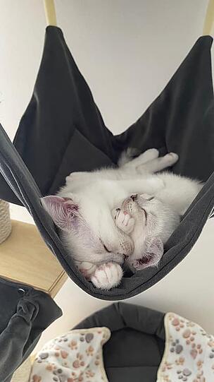 Cleo und Calypso
