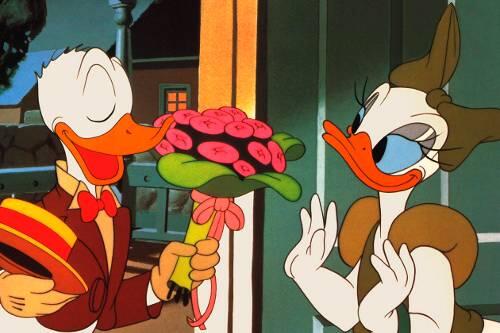 Komplizierte Beziehung: Daisy und Donald.