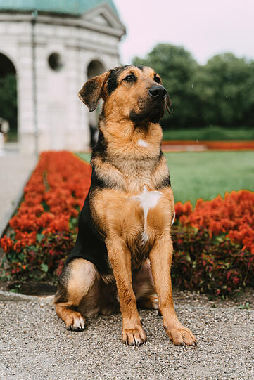 Milo