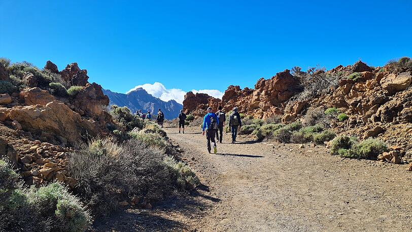 Seit Sommer 2022 wurde ein junger Backpacker aus Niedersachsen auf Teneriffa vermisst, der dort zum Wandern war - nun wurde sein Tod best&auml;tigt. (Symbolbild)