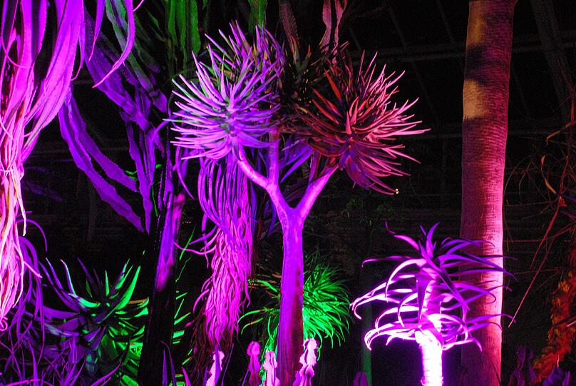 Nachts in den Botanischen Garten? Geht auch.