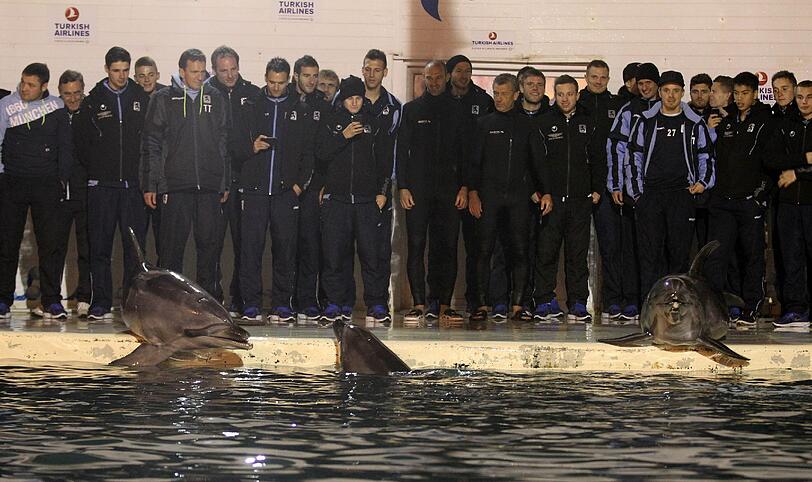 Für die Löwen ging's am Mittwoch noch tierisch zu: Im Delfinarium durften sie mit Flipper & Co. eine Runde schwimmen.