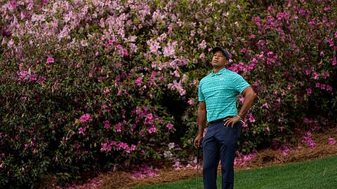 Star-Golfer Tiger Woods wartet am 13. Loch darauf, putten zu können.