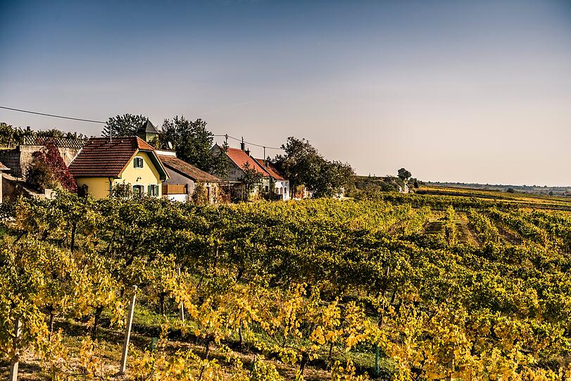 Zauberhafte Weinlandschaft: das Dorf Feuersbrunn am Wagram – eins der acht Weinbaugebiete Niederösterreichs. Zauberhafte Weinlandschaft: das Dorf Feuersbrunn am Wagram – eins der acht Weinbaugebiete Niederösterreichs.