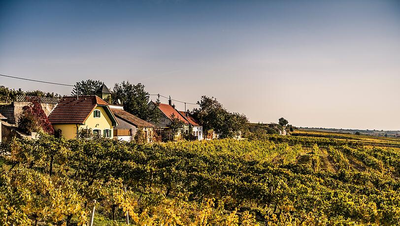 Zauberhafte Weinlandschaft: das Dorf Feuersbrunn am Wagram &ndash; eins der acht Weinbaugebiete Nieder&ouml;sterreichs.