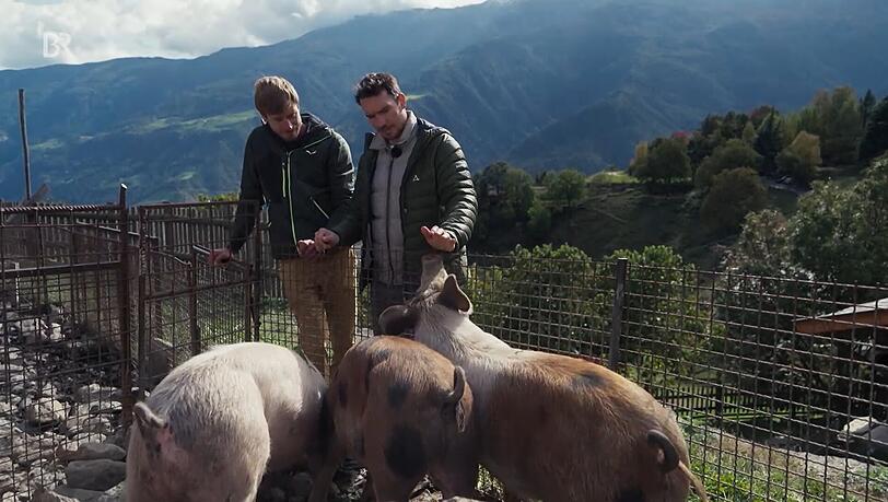 Auf dem Bauernhof von Simon Messner (l.) packt Felix Neureuther beim Schweinefüttern mit an.