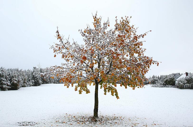 Wintereinbruch in Bayern: Die Bilder aus München und dem Umland
