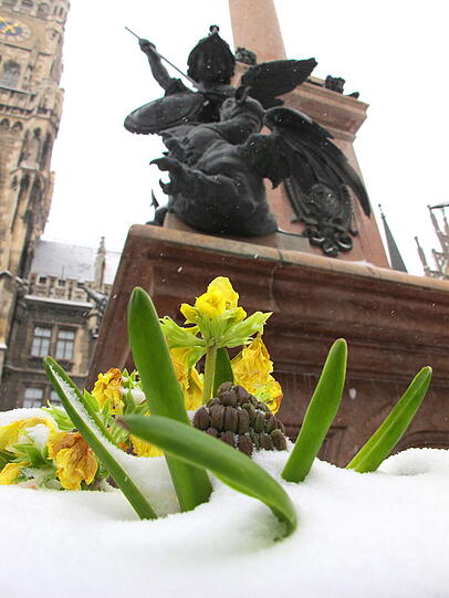 Schauplatz Marienplatz.