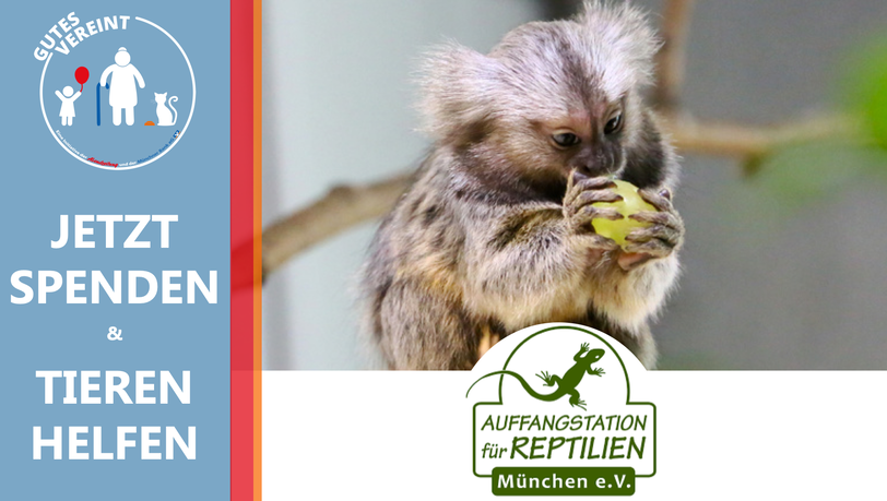 Die Auffangstation für Reptilien benötigt Ihre Spende für die Installation und Bestückung neuer Außenvolieren.