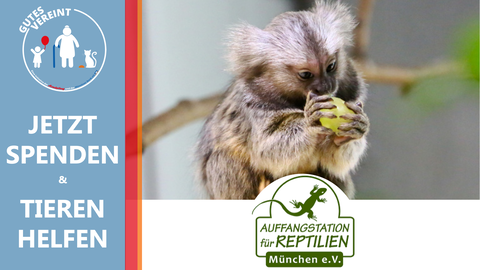 Die Auffangstation für Reptilien benötigt Ihre Spende für die Installation und Bestückung neuer Außenvolieren.