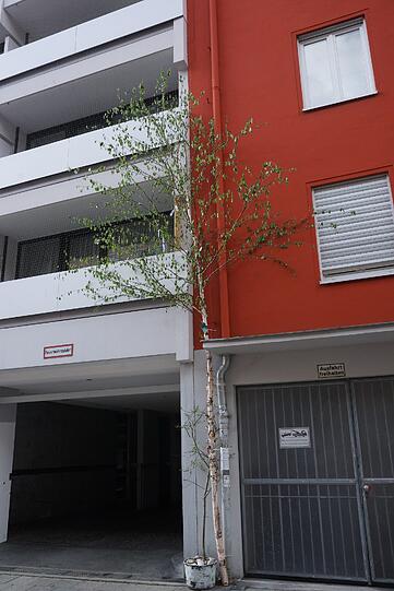 Ein nicht zu übersehender Liebesbeweis in der Maxvorstadt.