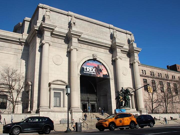 Das American Museum of Natural History ist eine Kathedrale der Wissenschaft.
