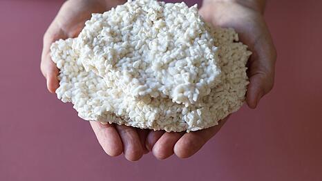 Mit so einem Kojipilz werden Lebensmittel fermentiert.