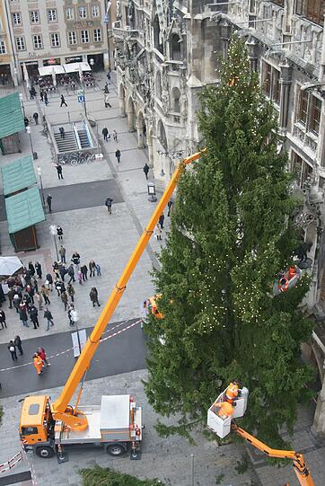 Rund 2500 Lämpchen lassen den Christbaum weihnachtlich erstrahlen - ab 26. November.